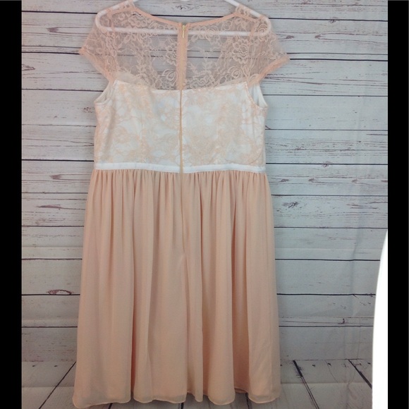 Asos Curve Scalloped Lace Dress Wedding NWT Sz 14 - Picture 6 of 8